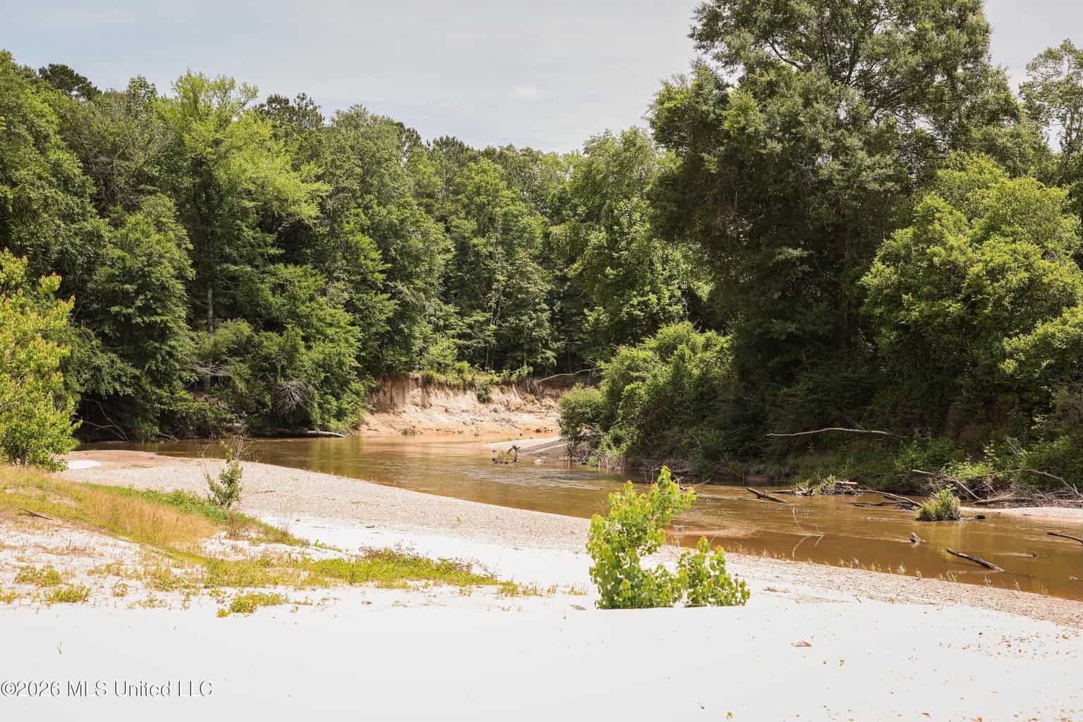 108+- Acres on the Bogue Chitto River Summit, Mississippi