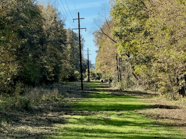 158.8 Acres Creek Frontage Clay County MS