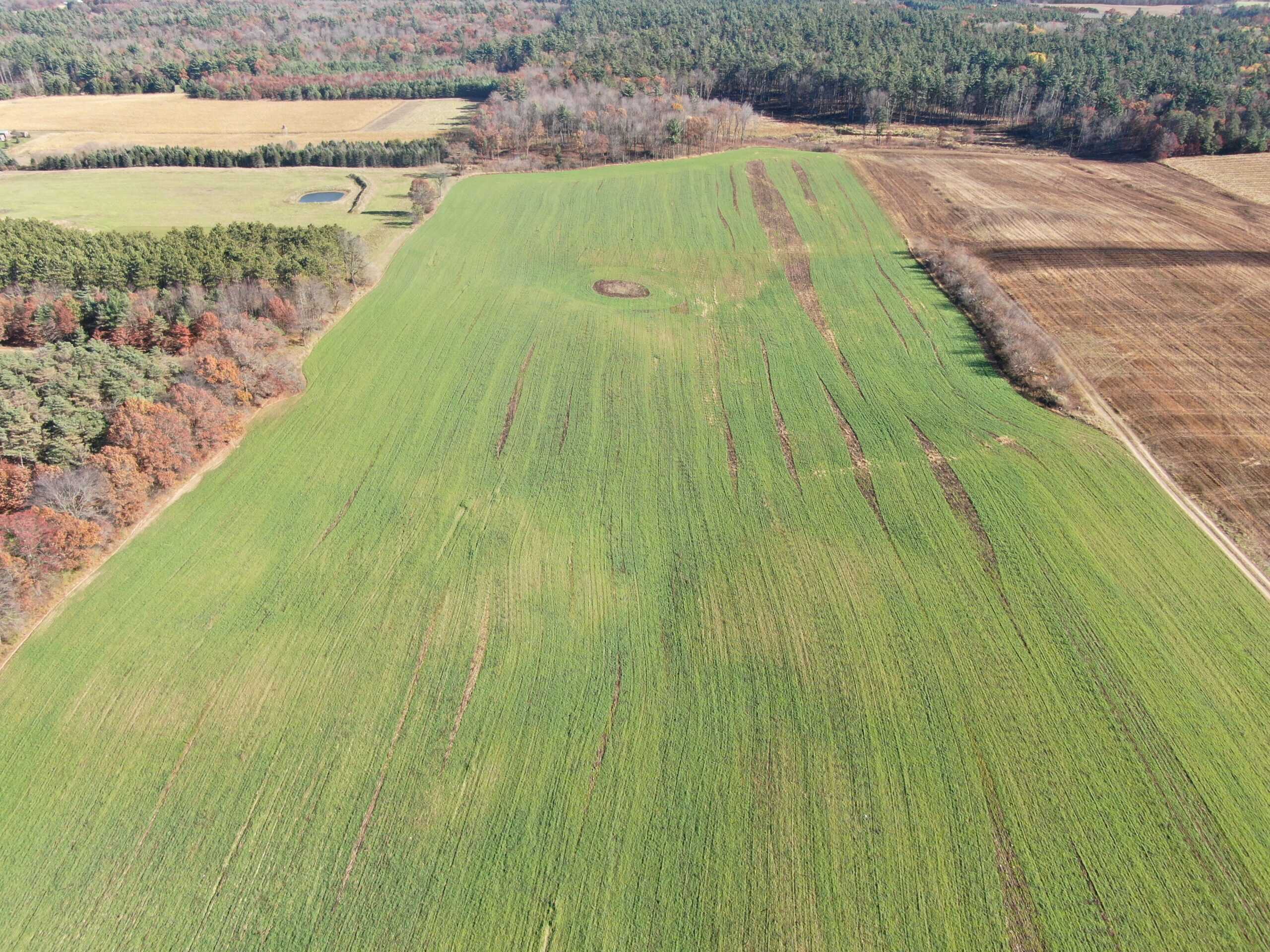 75± Acres of Productive Farmland Property in Portage County, WI