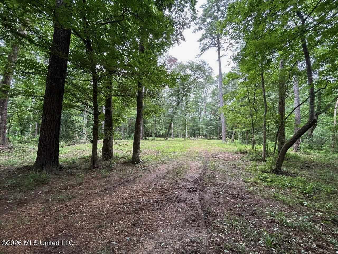 113± Acres for Sale in Osyka, MS on Tickfaw River