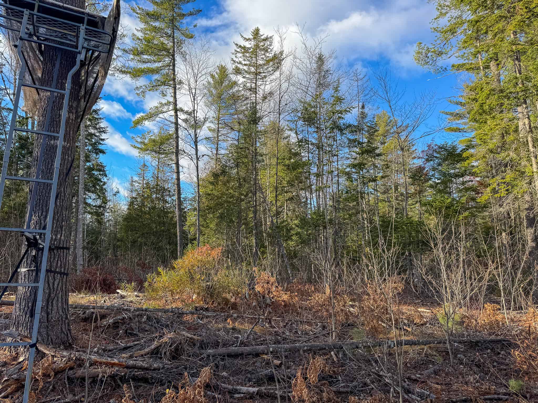 13.9 Acre Surveyed Parcel – Passadumkeag, Maine