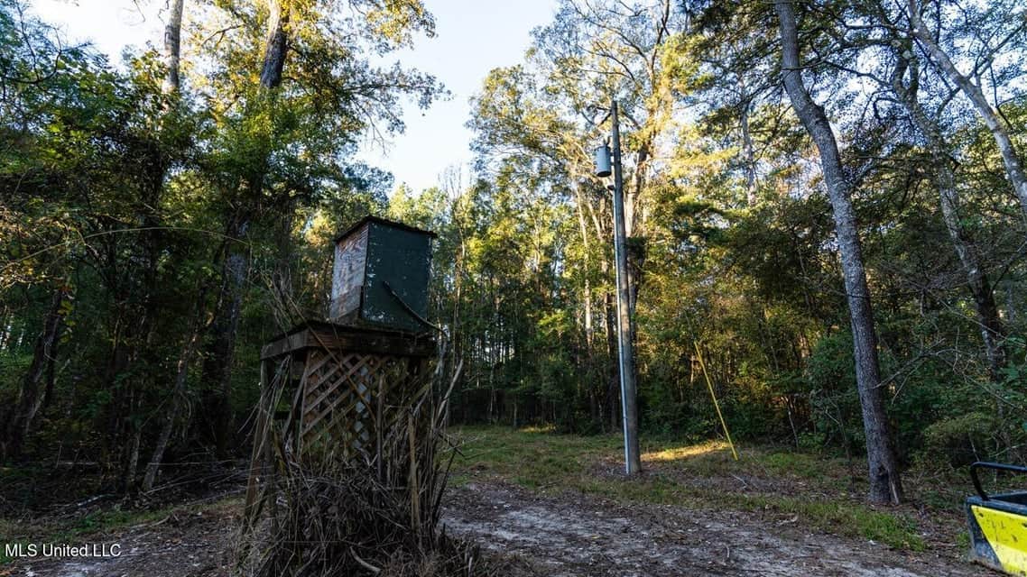 233-Acre Paradise on the Tickfaw River, Osyka, Amite County, MS