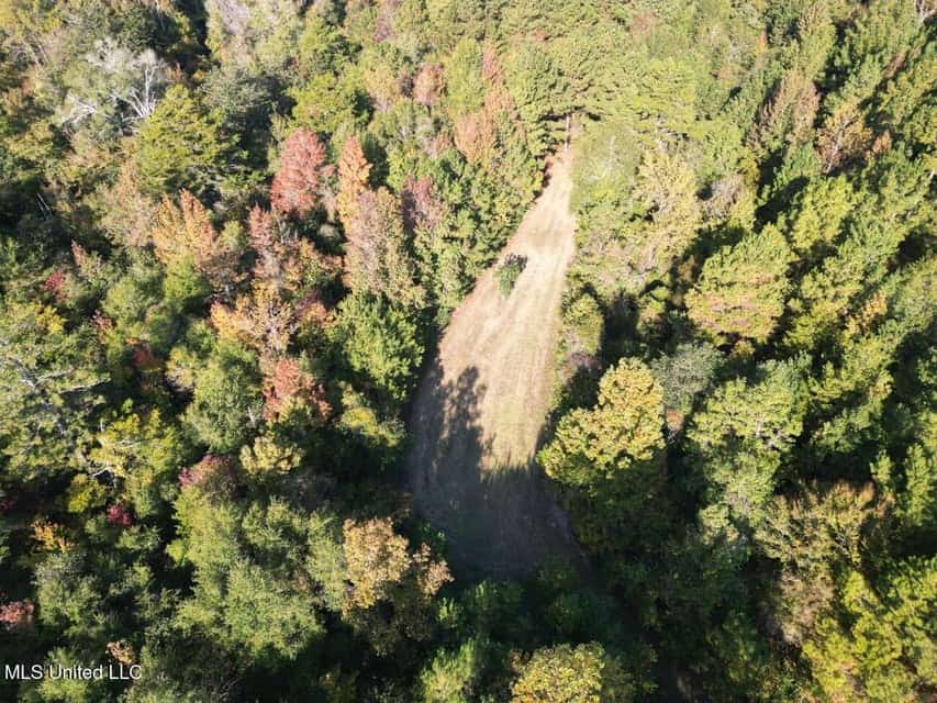 Hunting Land for Sale in Amite County, Mississippi