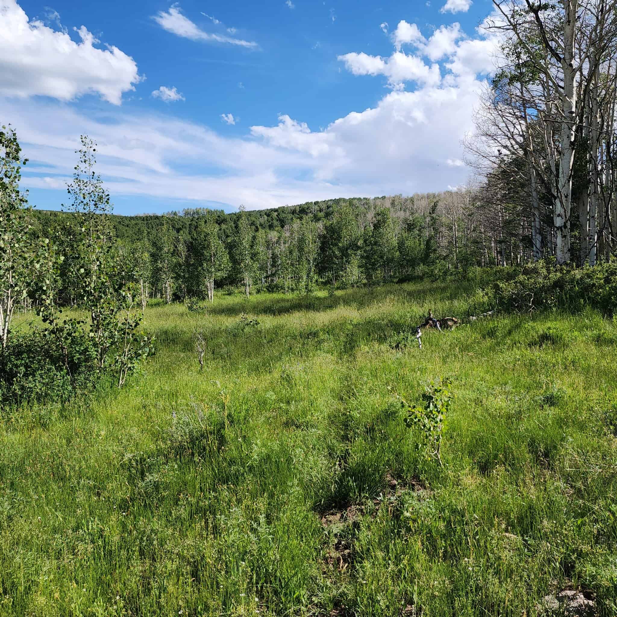 Colorado Hunting and Recreation Acreage