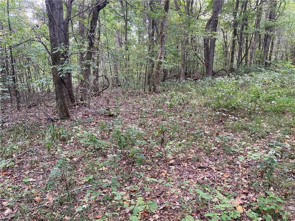 39.75 Newton County Hunting Land/Timber Property For Sale Low Gap