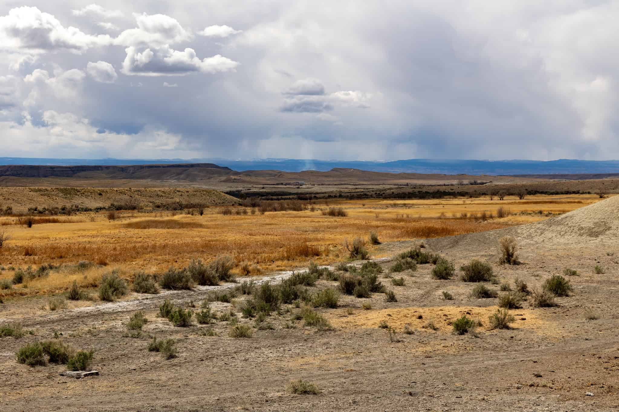 Premier Colorado Property – Shamrock Ranch – Hotchkiss, CO