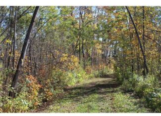 Northwoods Paradise w/ Trails & Ponds For Sale in Isle, MN