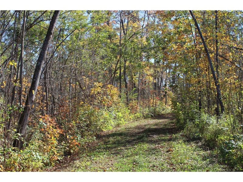 Northwoods Paradise w/ Trails & Ponds For Sale in Isle, MN