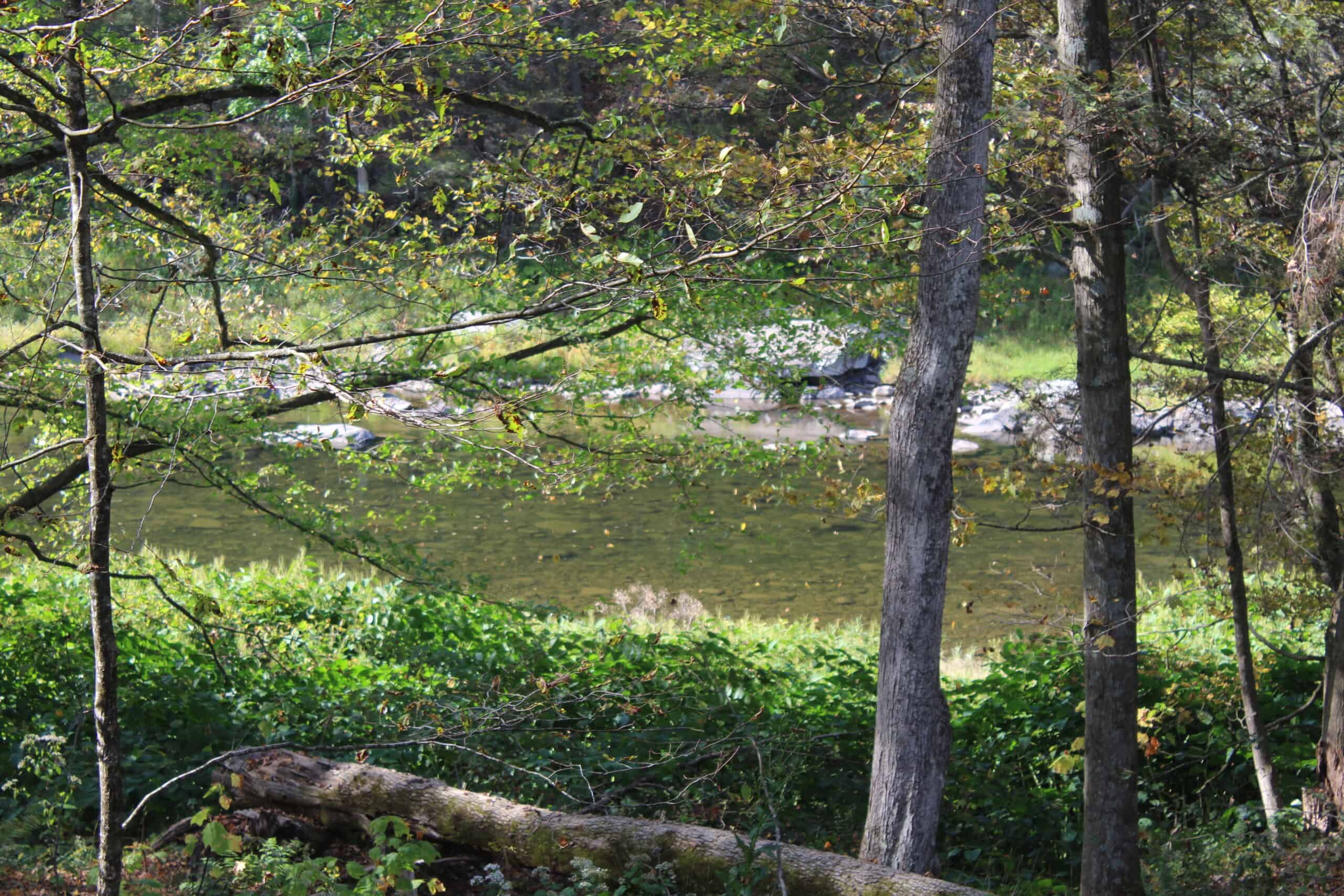 Catskills Hunting and Fishing Land For Sale in New York