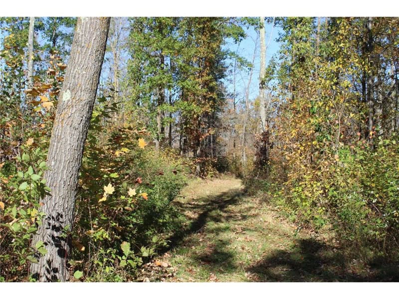 Northwoods Paradise w/ Trails & Ponds For Sale in Isle, MN