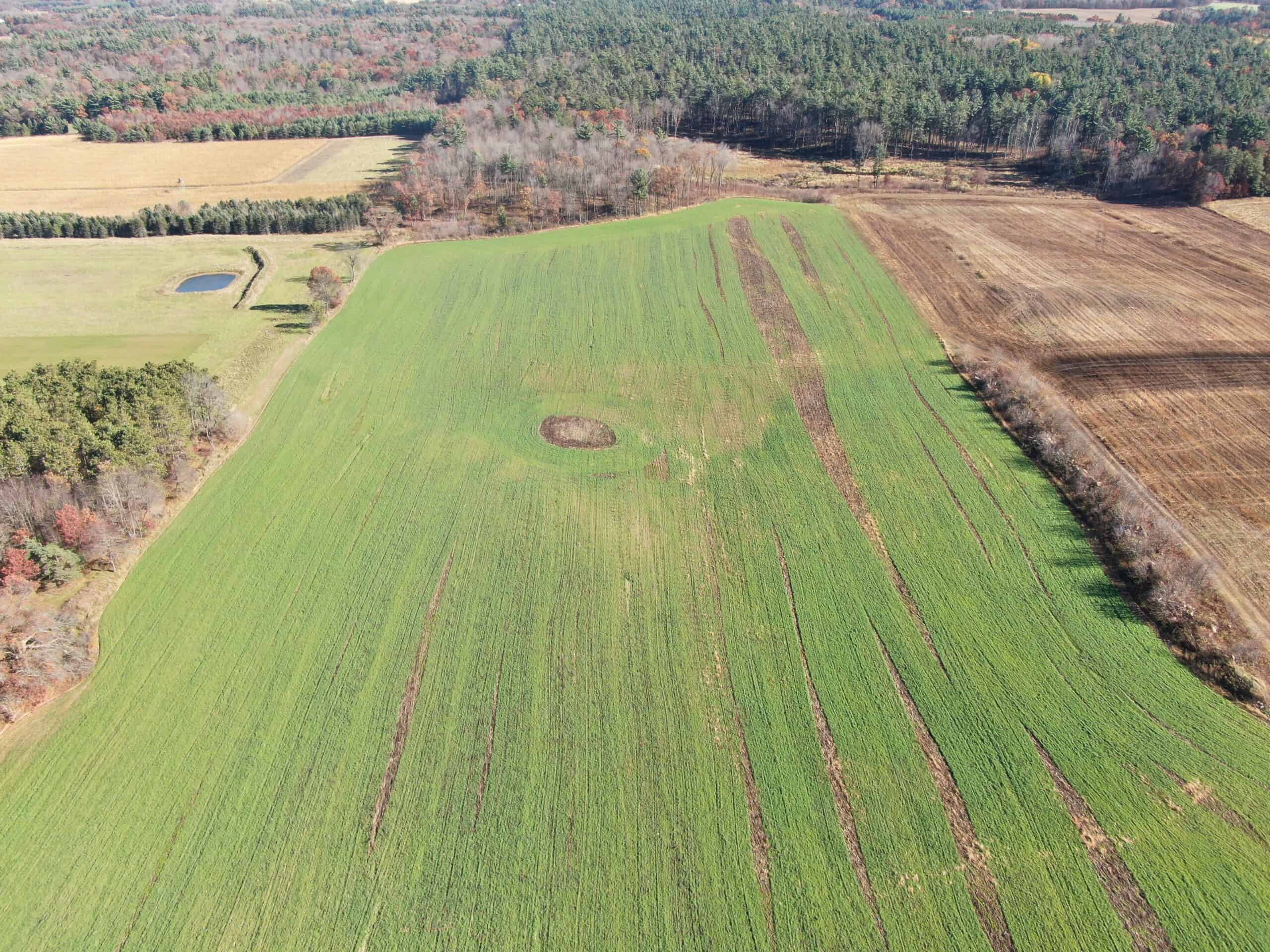 75± Acres of Productive Farmland Property in Portage County, WI