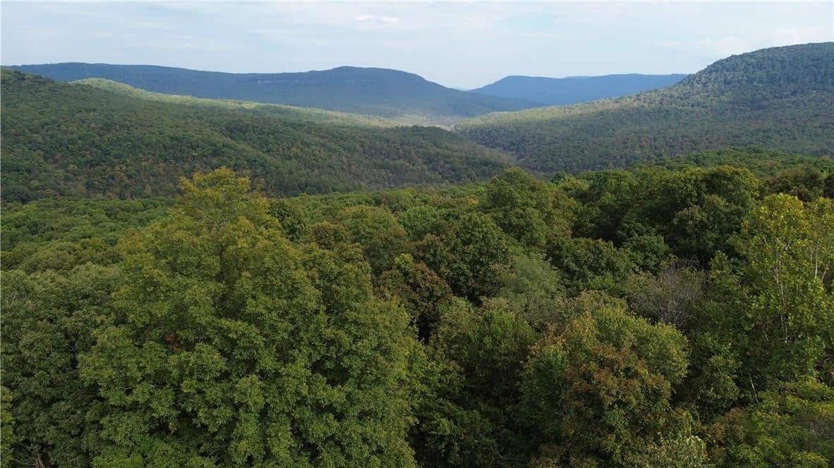 20 Acres Newton County Hunting Timberland For Sale Near Low Gap
