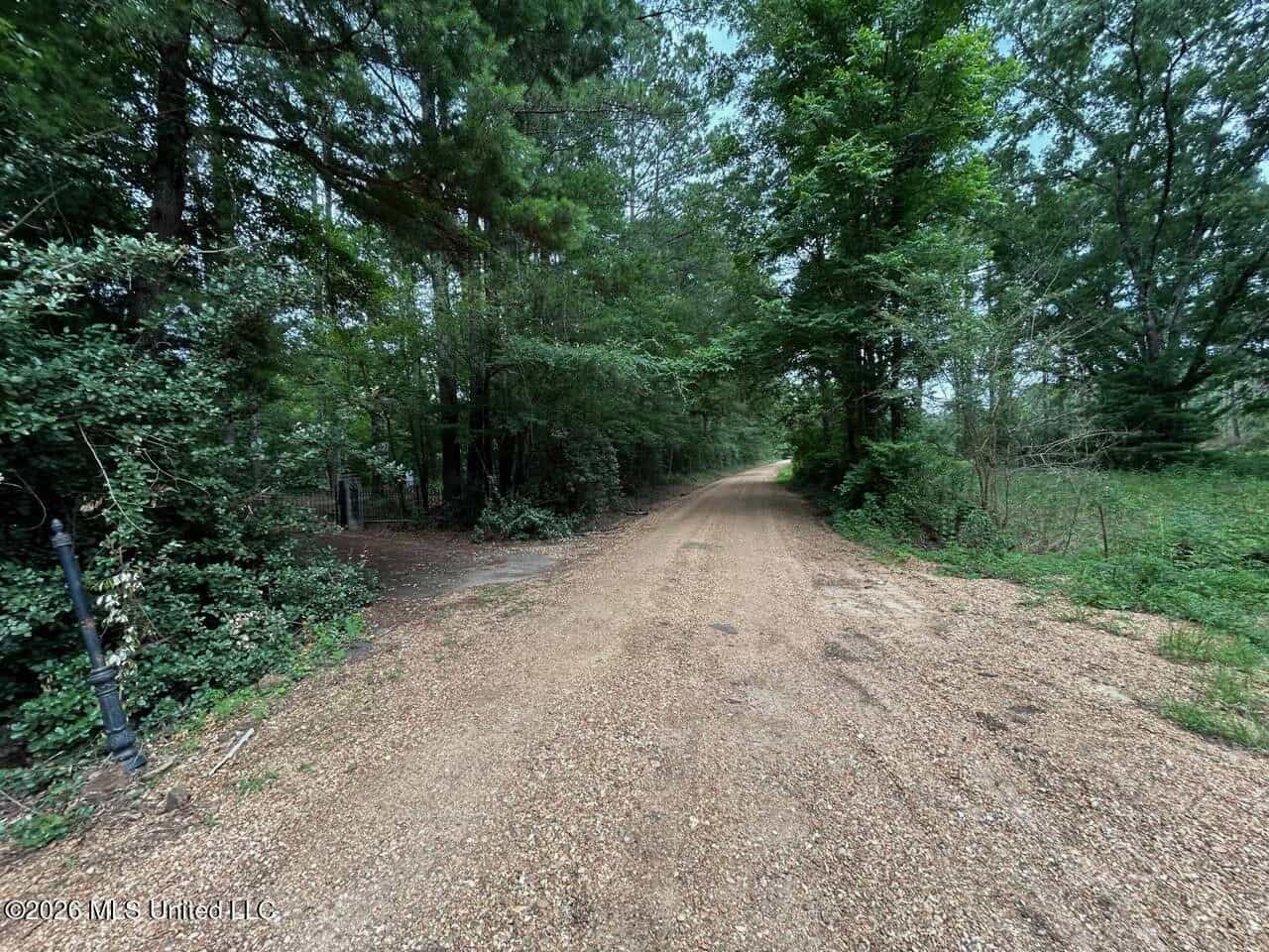 113± Acres for Sale in Osyka, MS on Tickfaw River