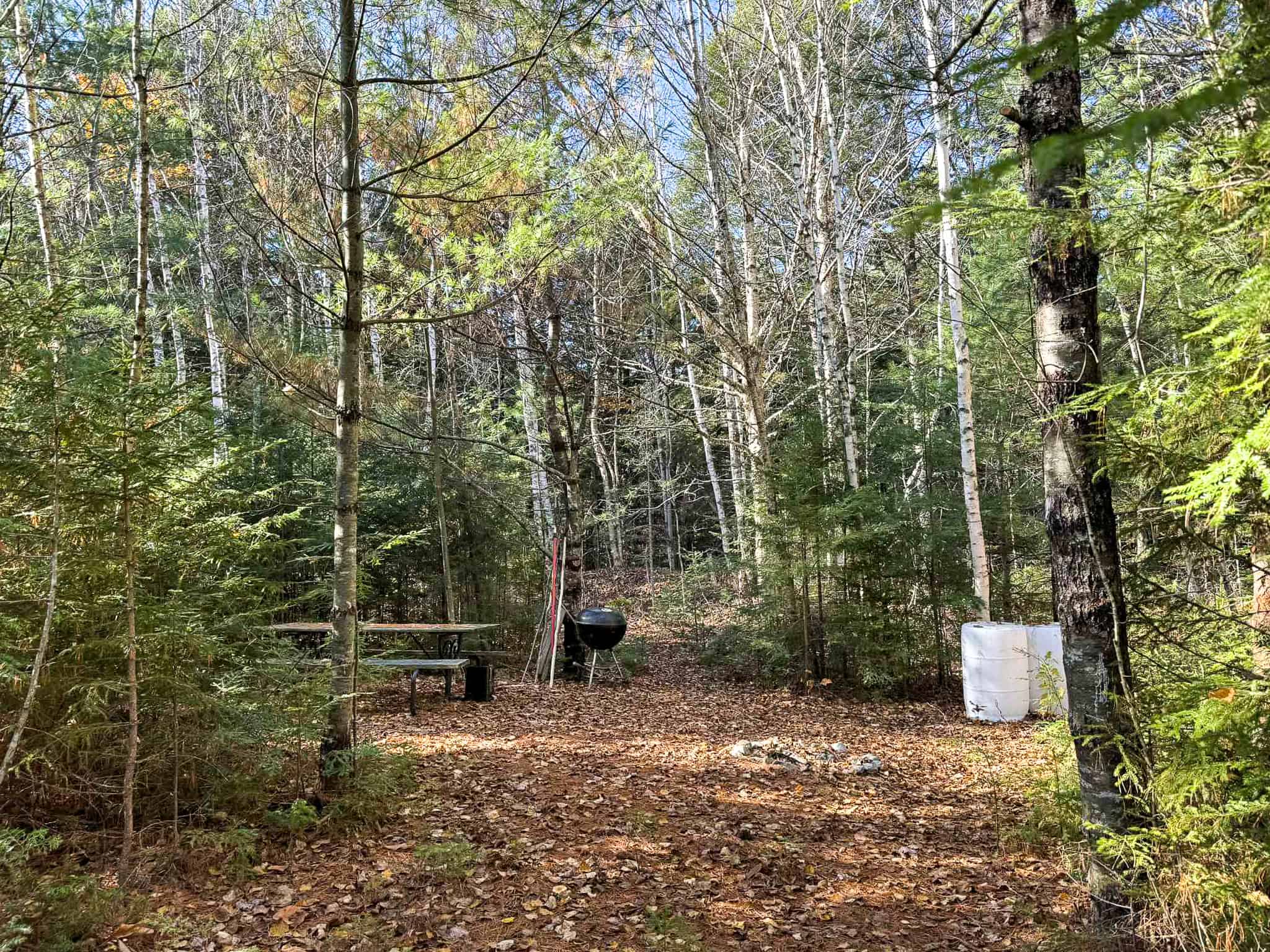 41 Acres with 1330 Ft on Long Lake – Northfield, ME