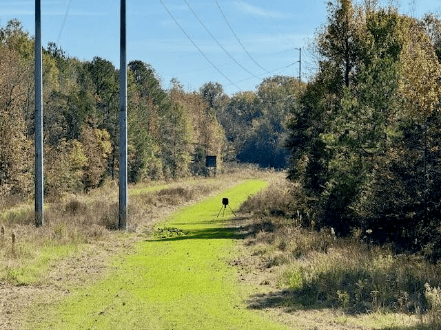 158.8 Acres Creek Frontage Clay County MS