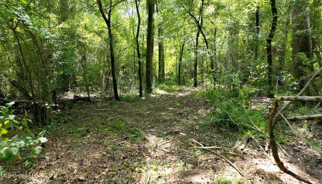 108+- Acres on the Bogue Chitto River Summit, Mississippi