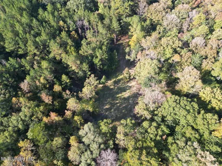 Hunting Land for Sale in Amite County, Mississippi