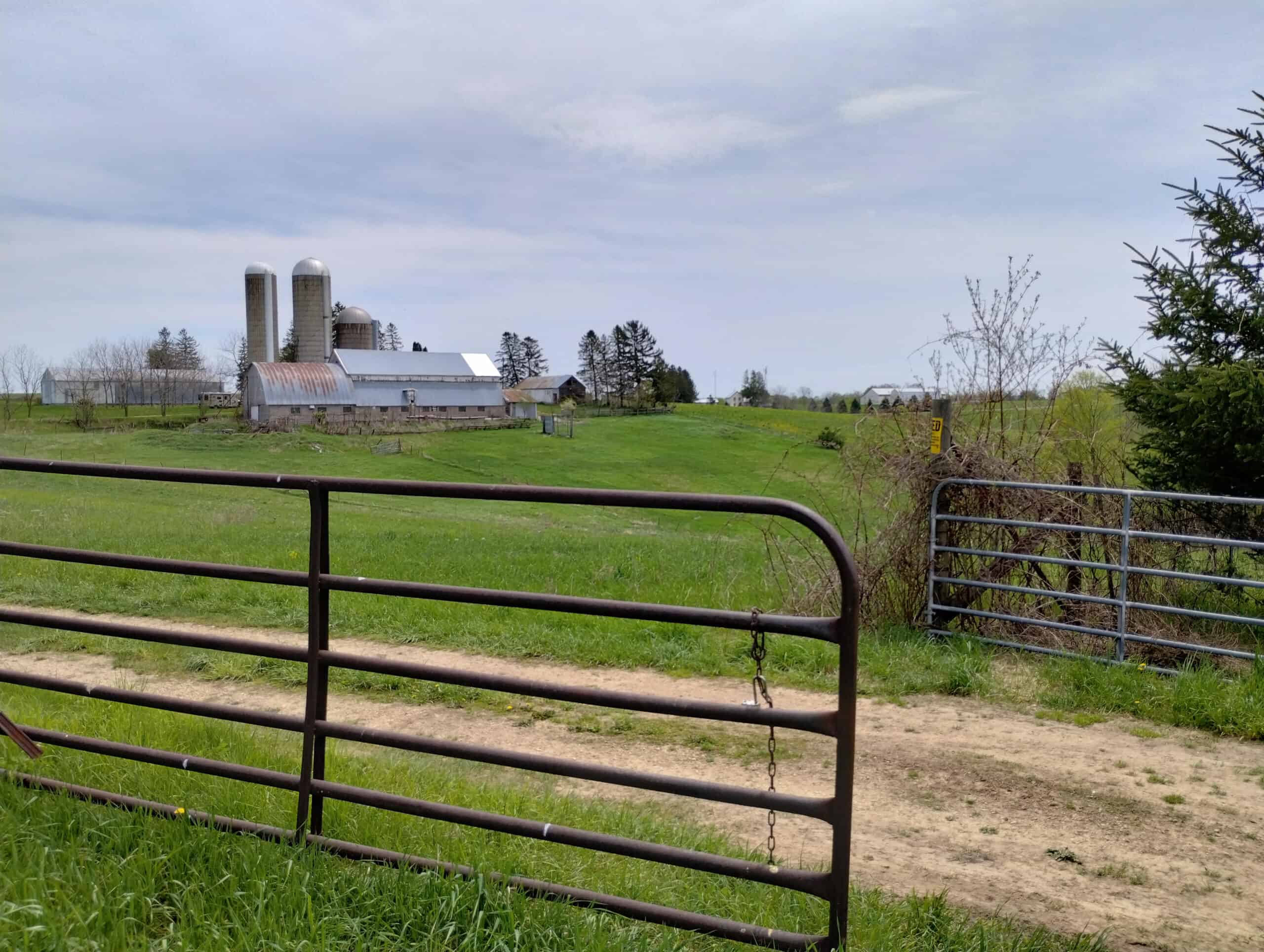Windy Ridge – Conservation Homestead – 187 ± Acres in Monroe County’s Driftless Area of Wisconsin