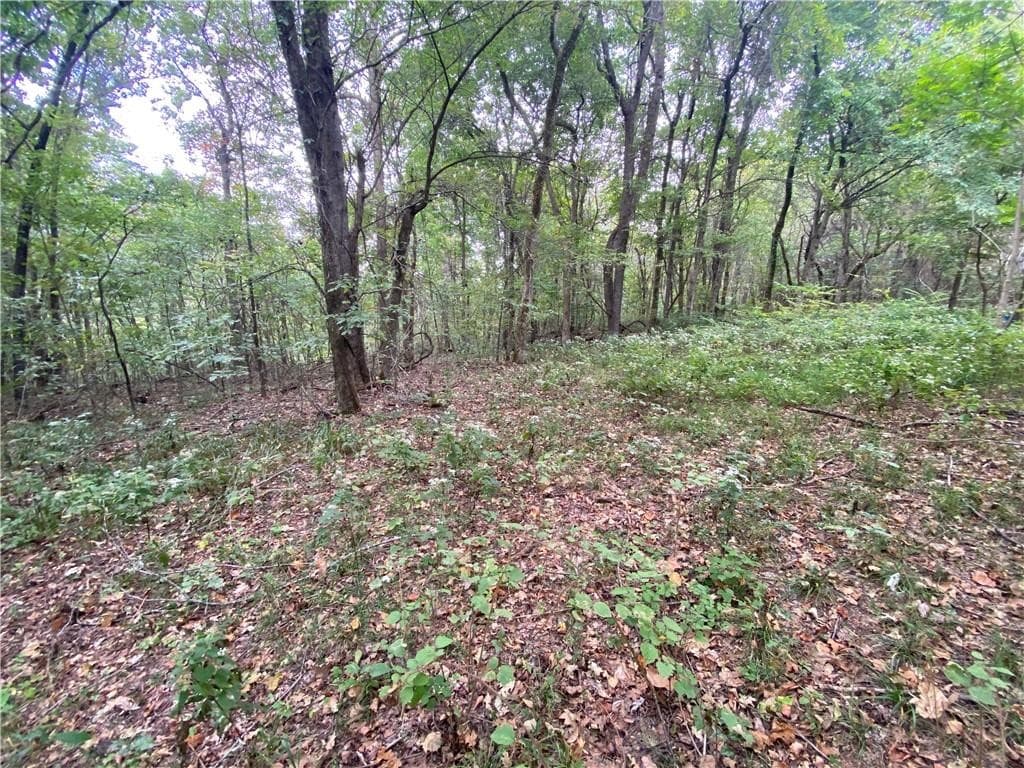 39.75 Newton County Hunting Land/Timber Property For Sale Low Gap