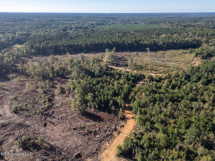 113 Acres of Hunting Land in Liberty, Mississippi