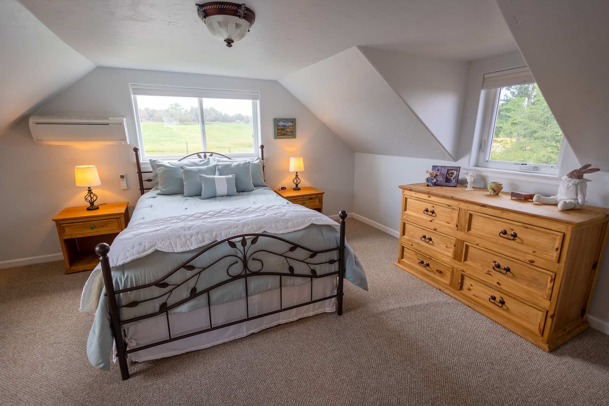 Country Home for Sale on 40 Acres with Valuable Water Rights