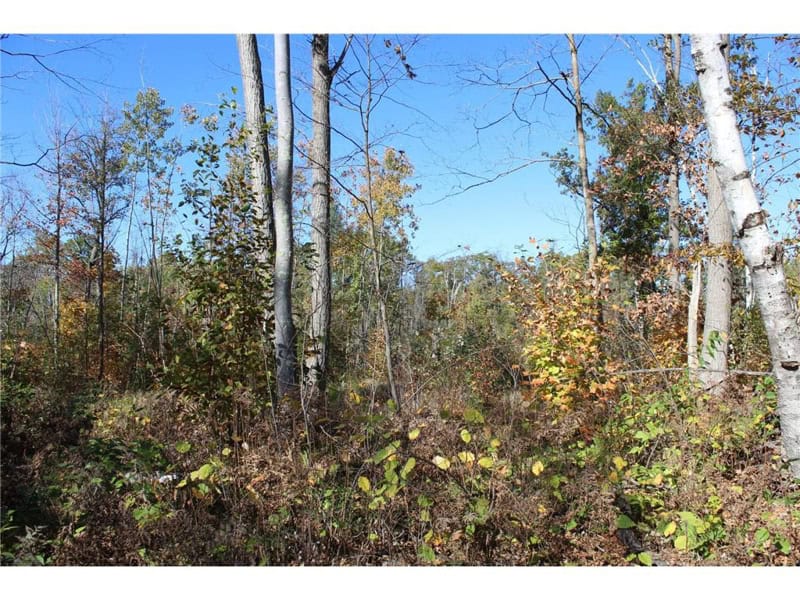 Northwoods Paradise w/ Trails & Ponds For Sale in Isle, MN