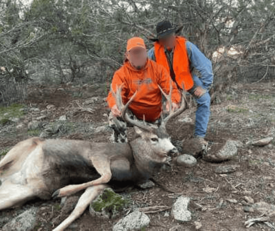 500 Acres Adjacent to BLM – A Secluded Western Colorado Mountain Estate with Water, Views, Wildlife & Unmatched Privacy