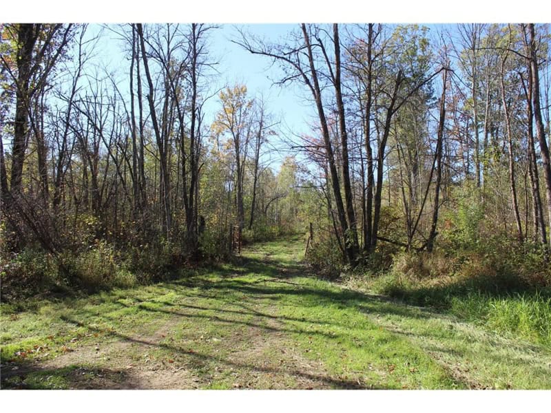 Northwoods Paradise w/ Trails & Ponds For Sale in Isle, MN