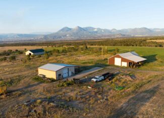 Country Home on Land For Sale in Crawford, CO