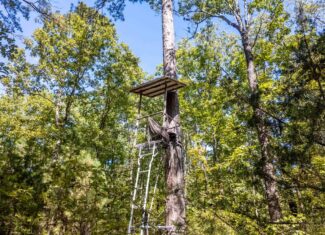 Hunting & Recreational Property | TBD Forrest Drive, Houston, Missouri