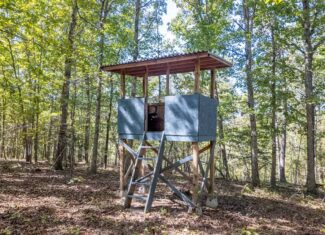 Hunting & Recreational Property | TBD Forrest Drive, Houston, Missouri