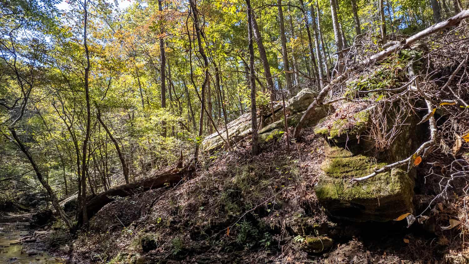 Hunting & Recreational Property | TBD Forrest Drive, Houston, Missouri