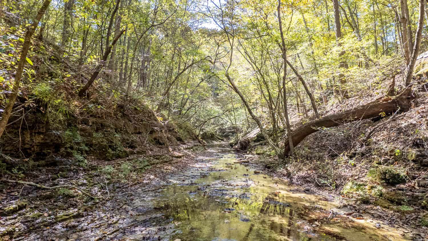 Hunting & Recreational Property | TBD Forrest Drive, Houston, Missouri