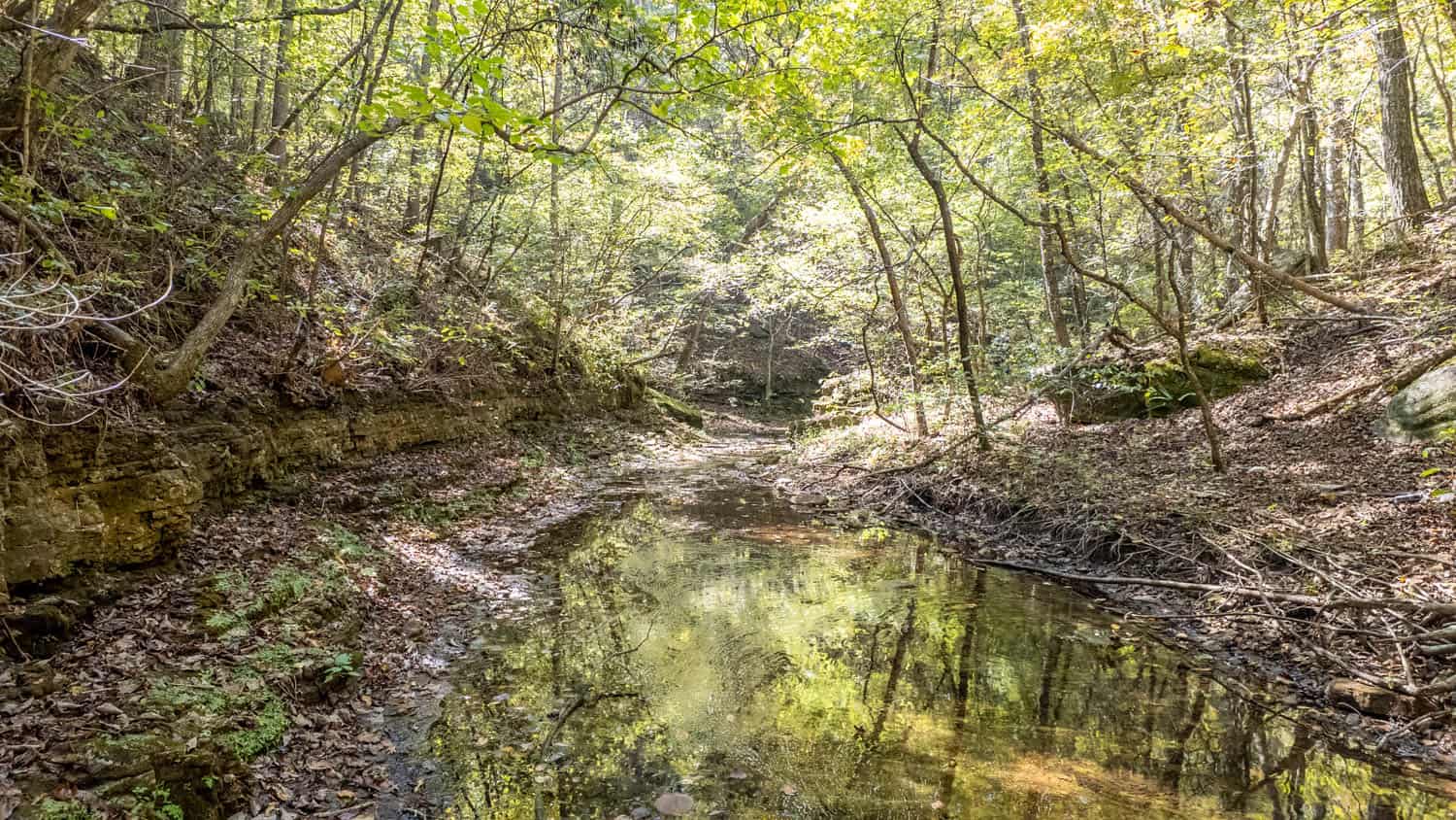 Hunting & Recreational Property | TBD Forrest Drive, Houston, Missouri