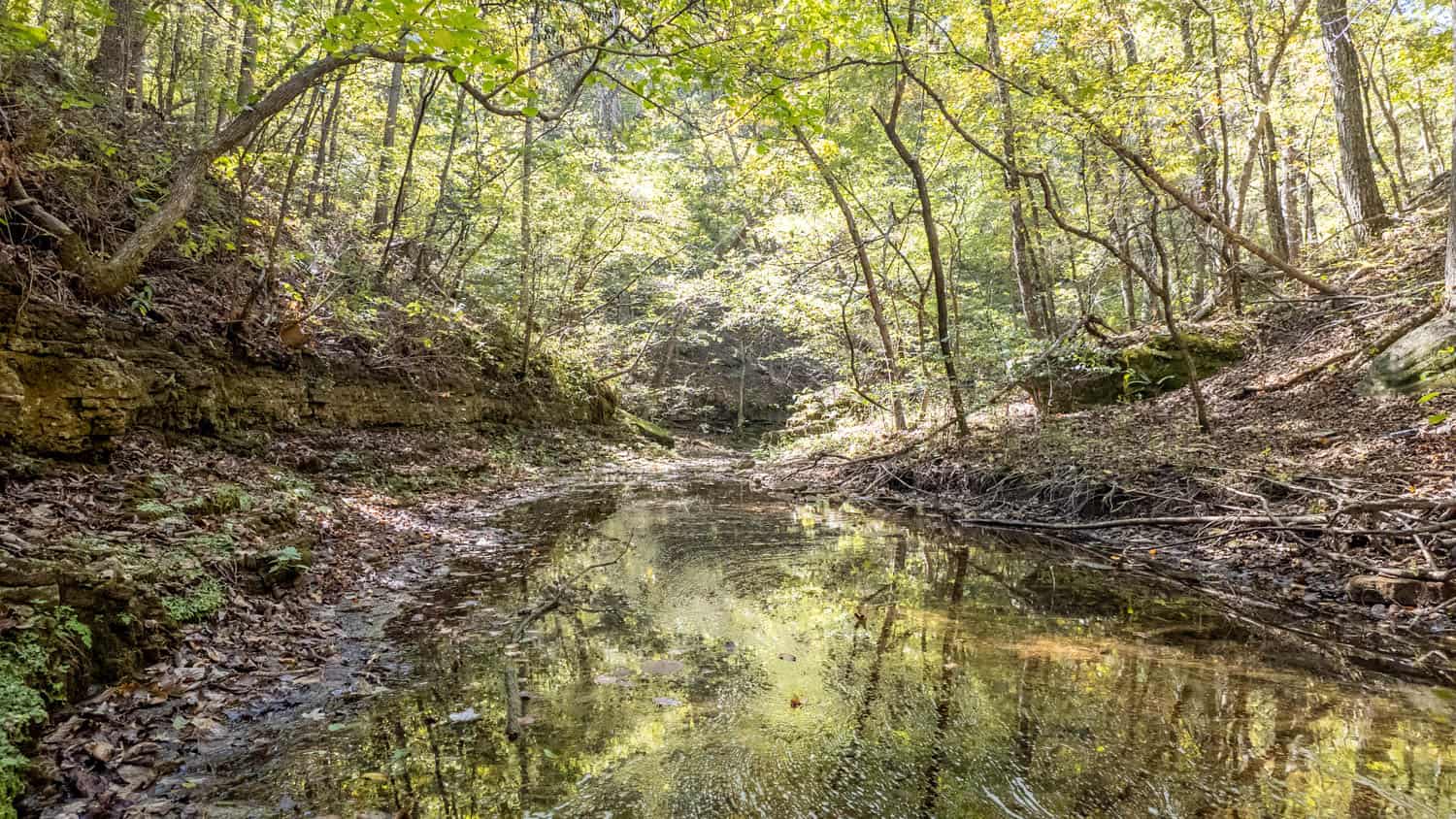 Hunting & Recreational Property | TBD Forrest Drive, Houston, Missouri