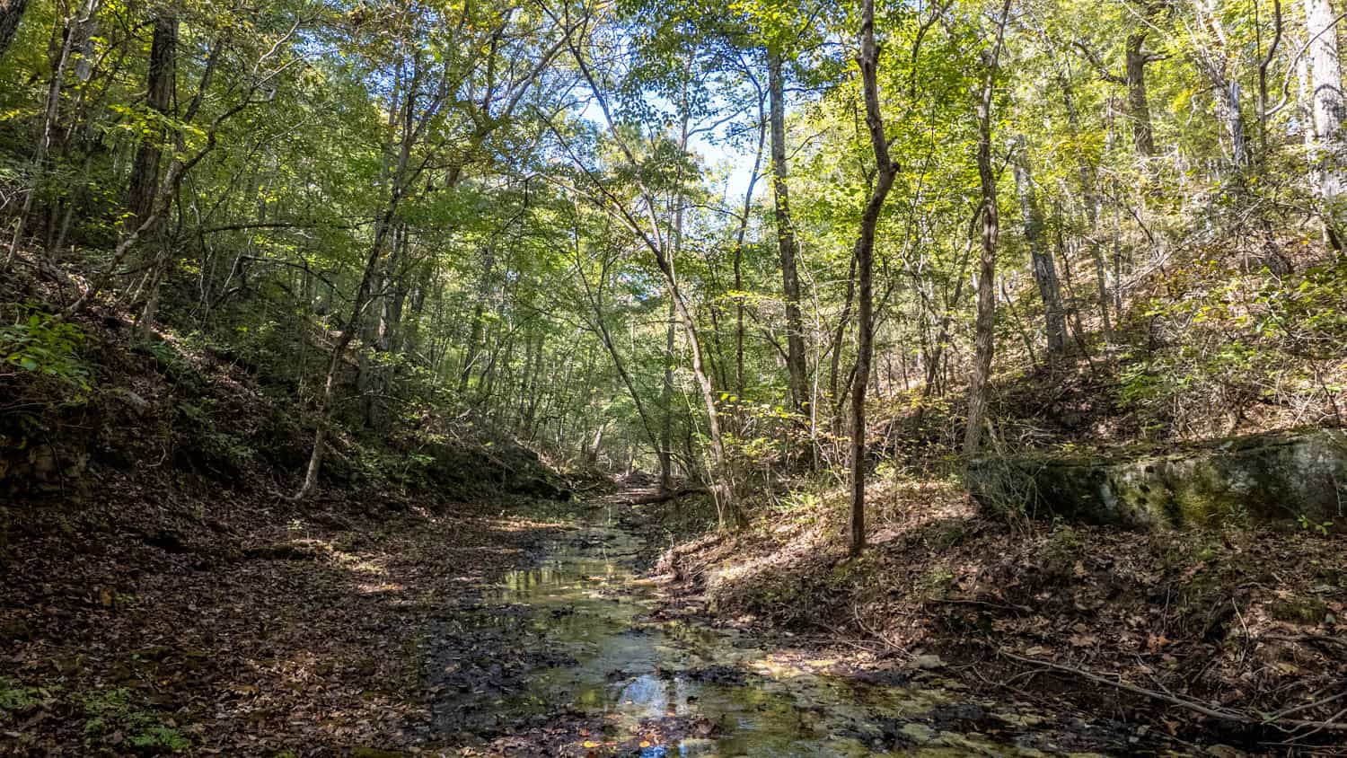 Hunting & Recreational Property | TBD Forrest Drive, Houston, Missouri