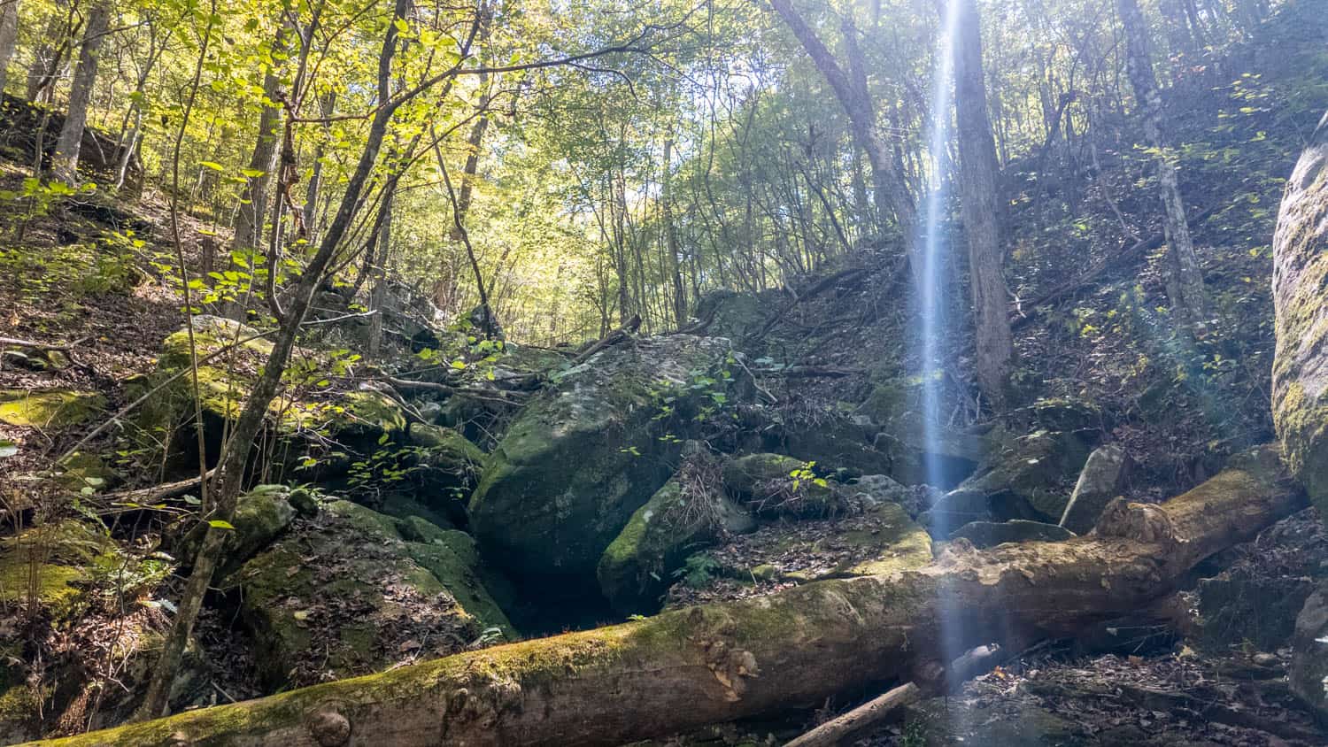 Hunting & Recreational Property | TBD Forrest Drive, Houston, Missouri