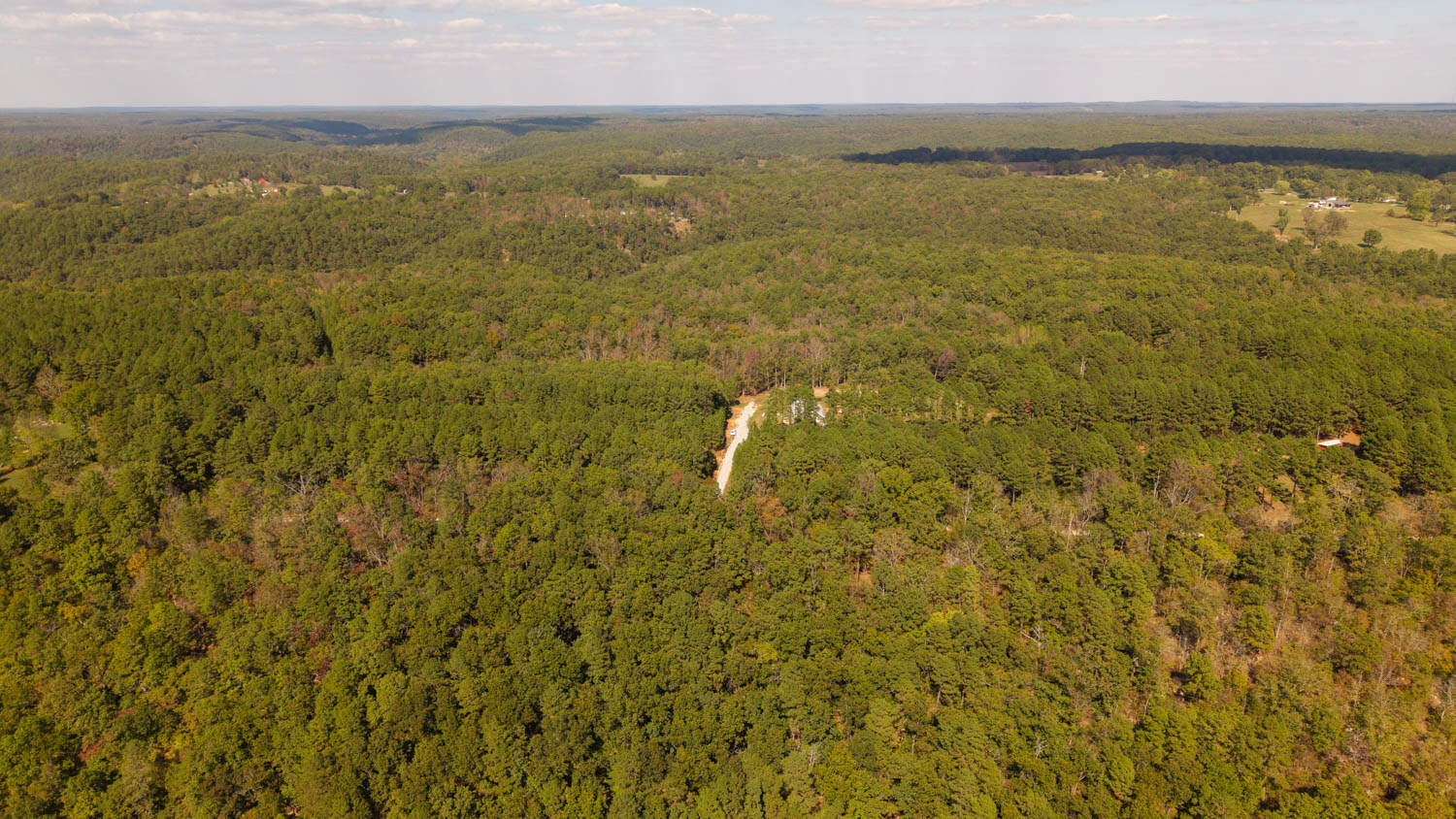Hunting & Recreational Property | TBD Forrest Drive, Houston, Missouri