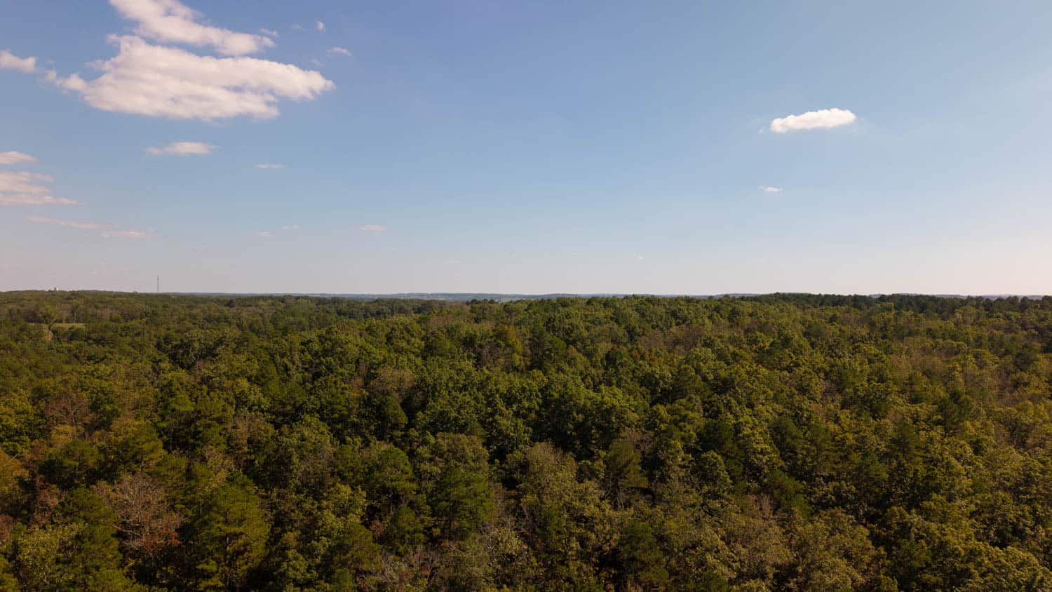 Hunting & Recreational Property | TBD Forrest Drive, Houston, Missouri