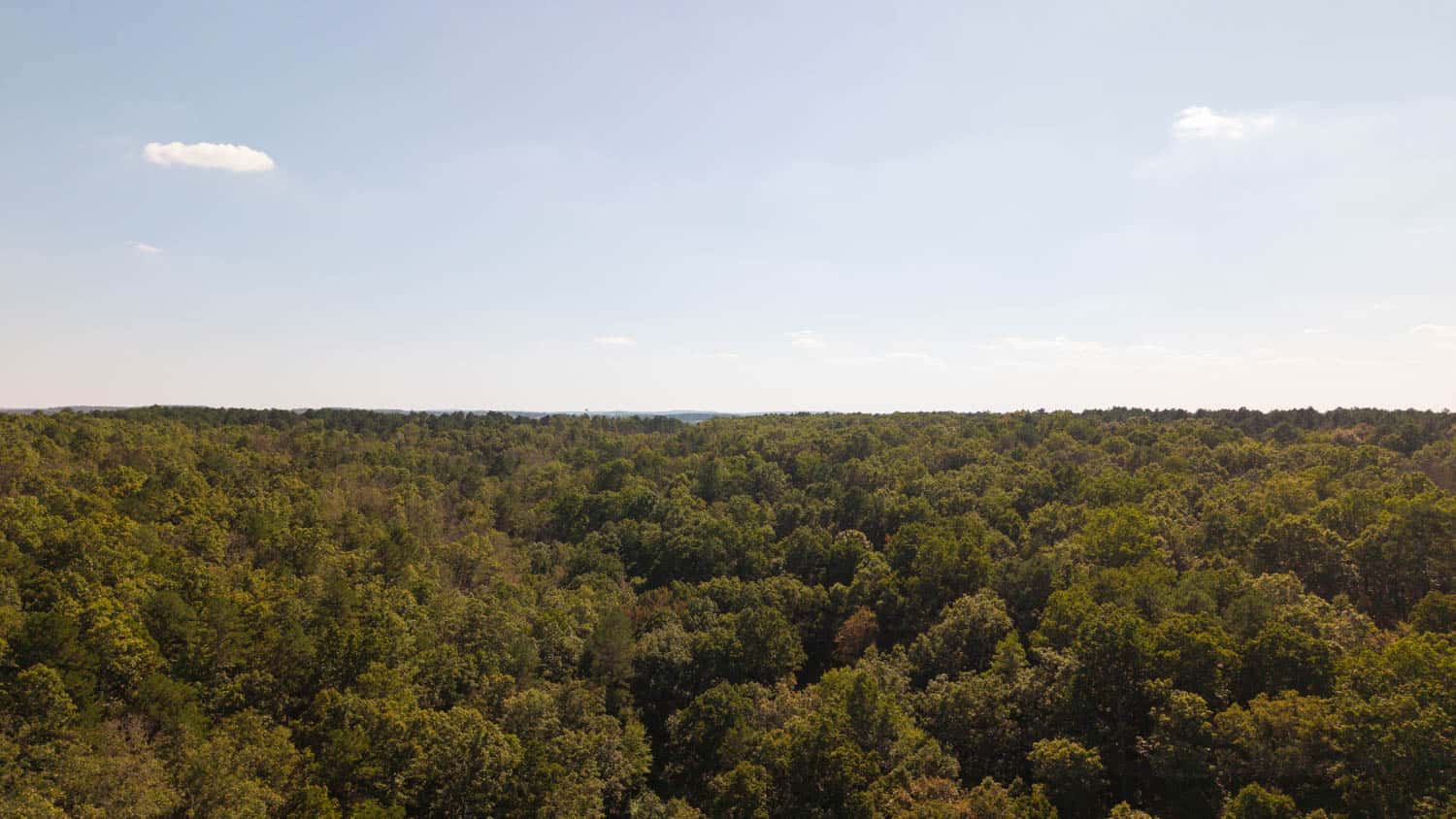 Hunting & Recreational Property | TBD Forrest Drive, Houston, Missouri
