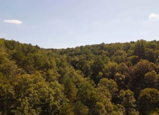 Hunting & Recreational Property | TBD Forrest Drive, Houston, Missouri