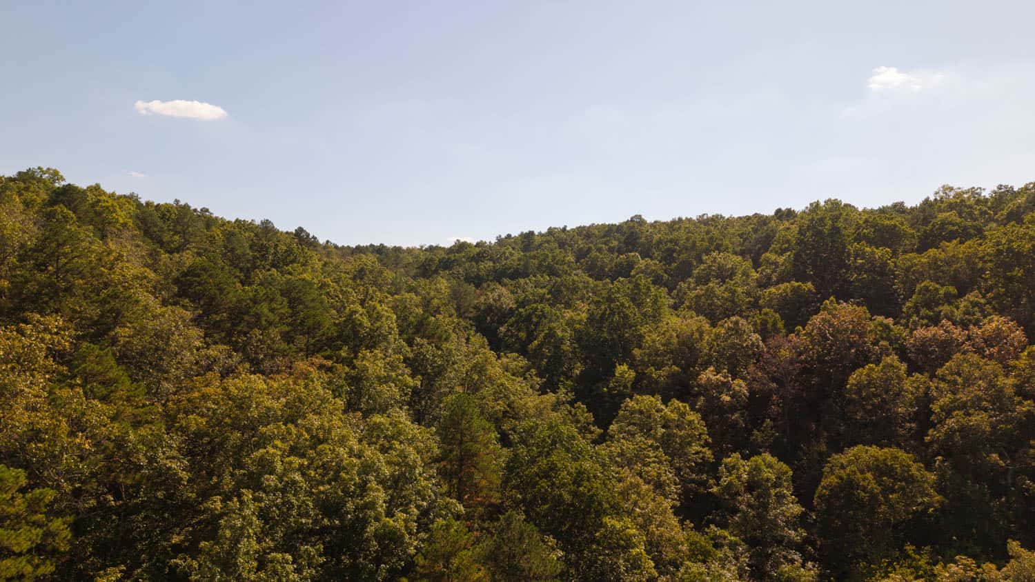 Hunting & Recreational Property | TBD Forrest Drive, Houston, Missouri