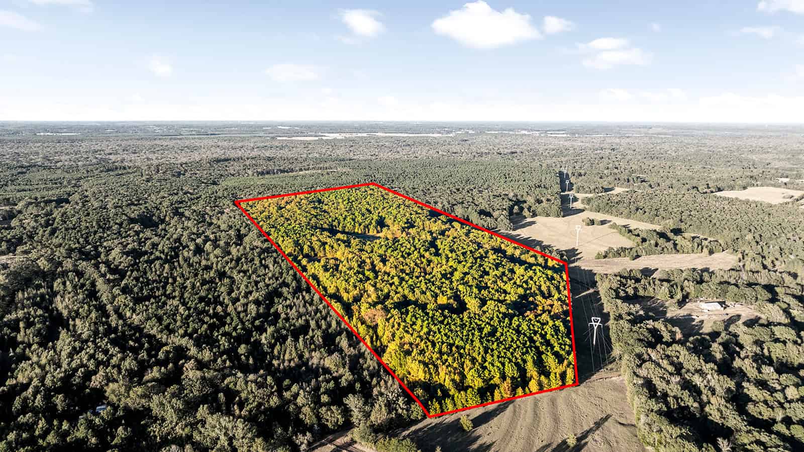 East Texas, Hunting/Ranch/Recreational/Timber Land