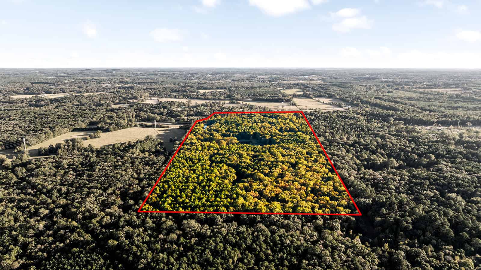 East Texas, Hunting/Ranch/Recreational/Timber Land