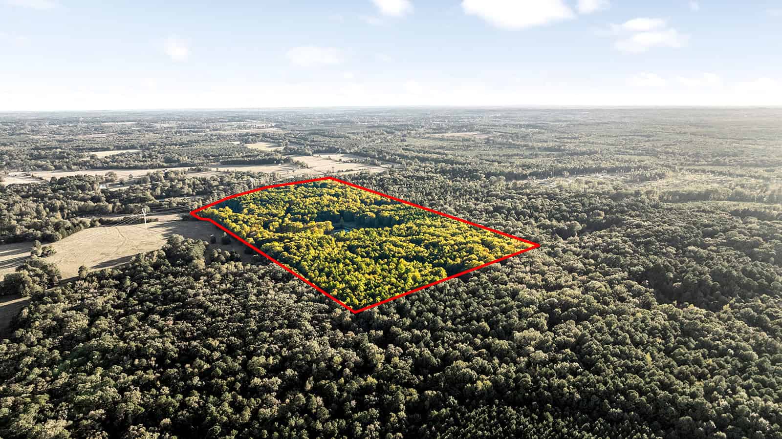 East Texas, Hunting/Ranch/Recreational/Timber Land