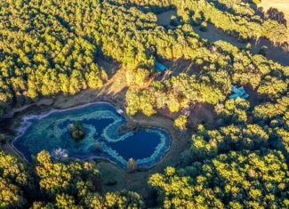 East Texas, Hunting/Ranch/Recreational/Timber Land