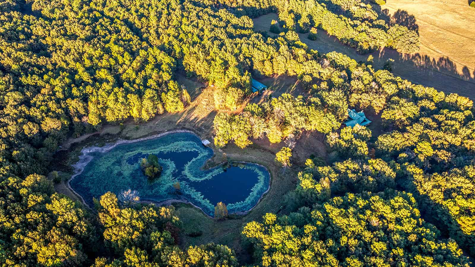 East Texas, Hunting/Ranch/Recreational/Timber Land
