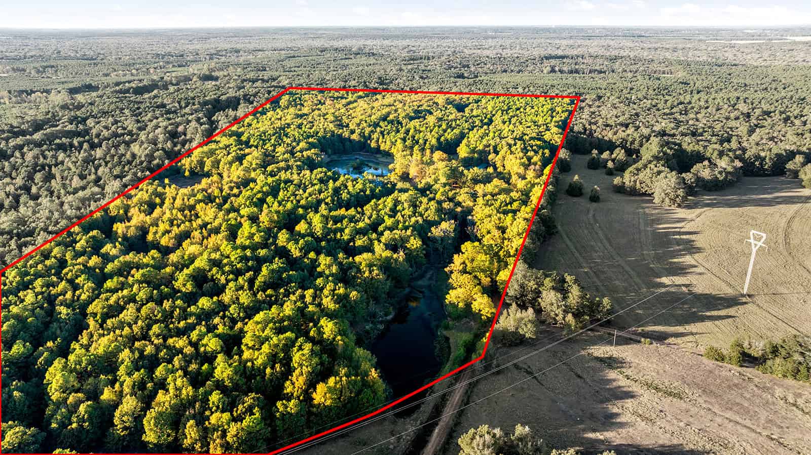 East Texas, Hunting/Ranch/Recreational/Timber Land