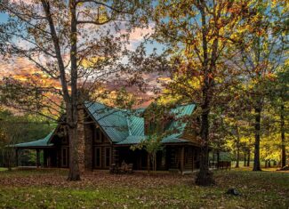 East Texas, Hunting/Ranch/Recreational/Timber Land