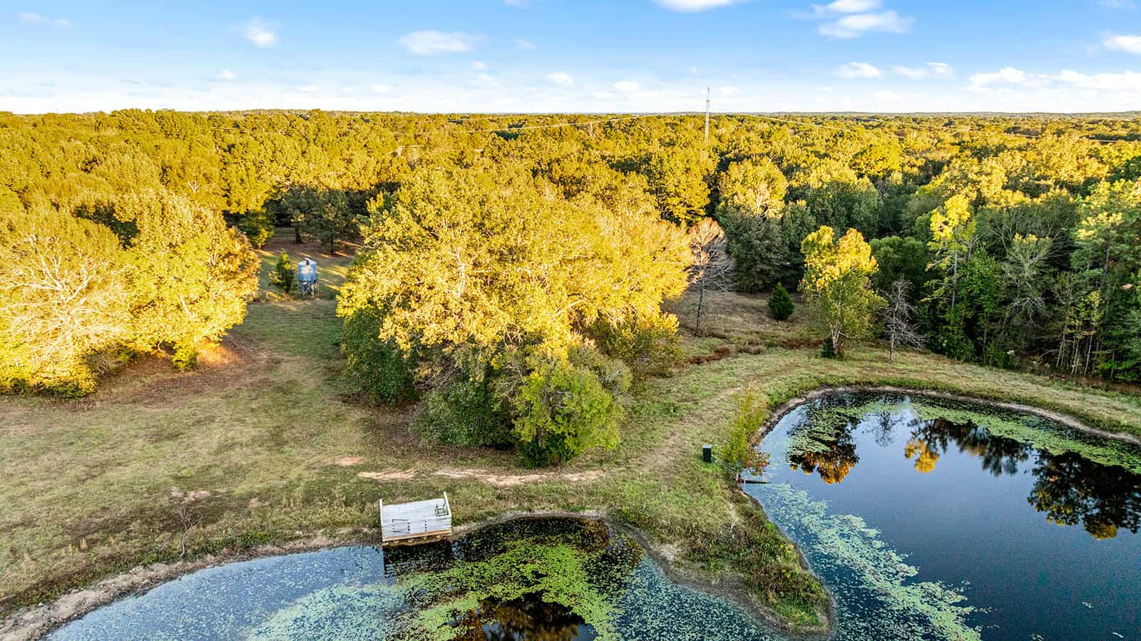 East Texas, Hunting/Ranch/Recreational/Timber Land